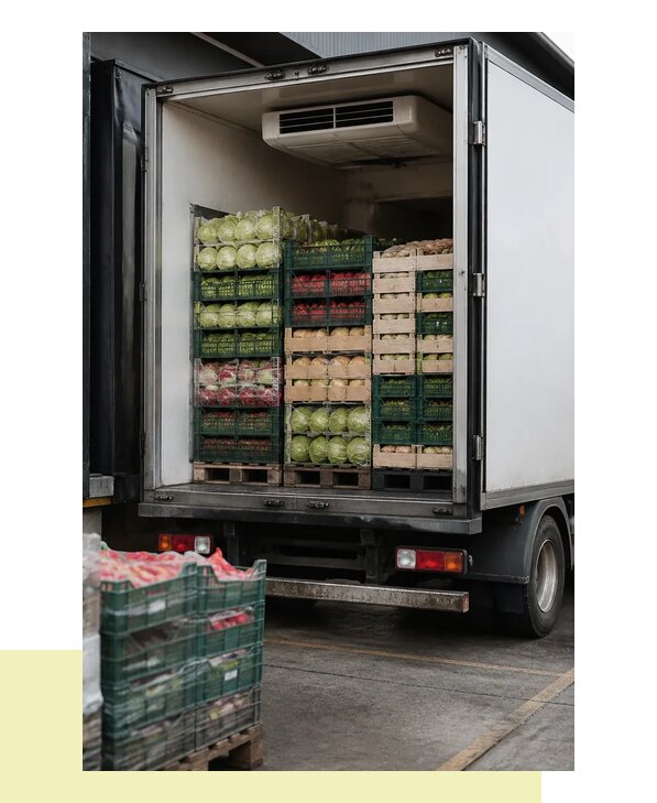 Перевозка плодоовощной продукции оптом напрямую в Соснового Бора
