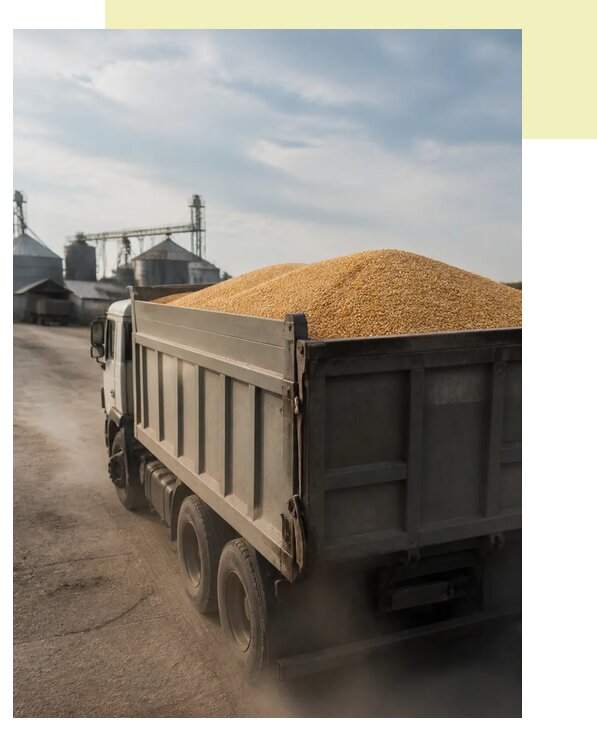 Перевозка сельхозпродукции навалом в Соснового Бора по цене от 3047 р. | Агросервис-Снб